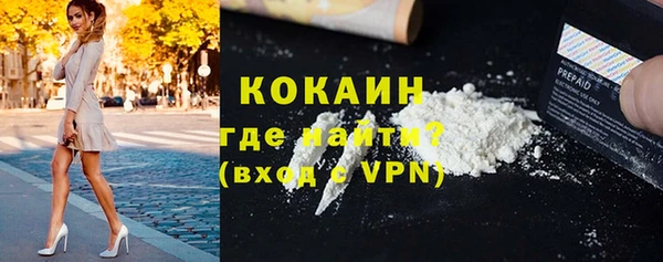 индика Алзамай