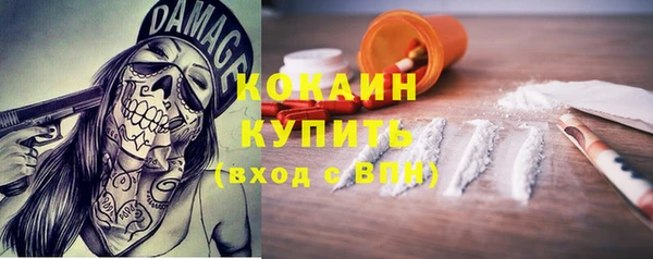 тгк Абаза