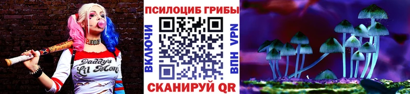omg ТОР  Кингисепп  Галлюциногенные грибы GOLDEN TEACHER 